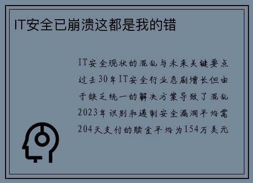 IT安全已崩溃这都是我的错 
