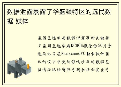 数据泄露暴露了华盛顿特区的选民数据 媒体