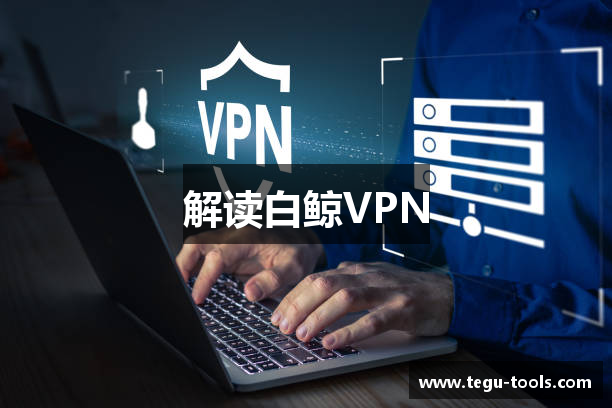 解读白鲸VPN